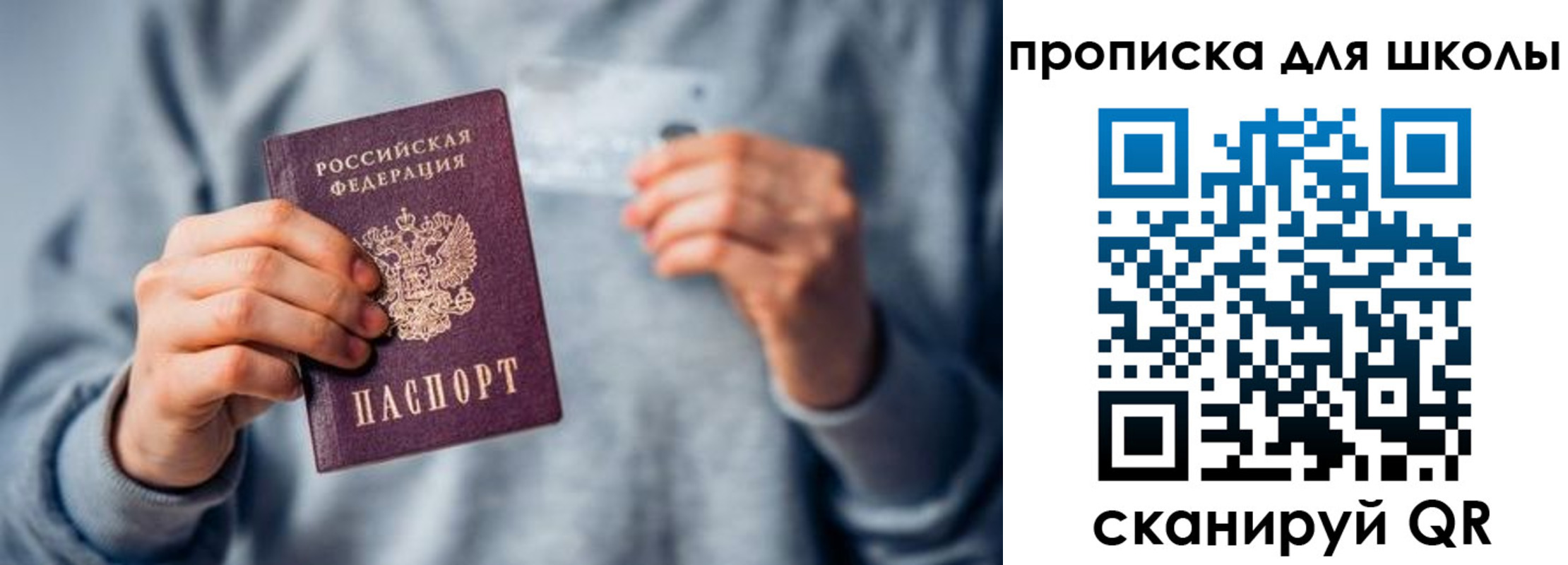 временная регистрация для всех в Светлогорске